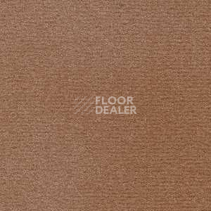 Ковролин Radici Nexus Cacao 2410 фото 1 | FLOORDEALER